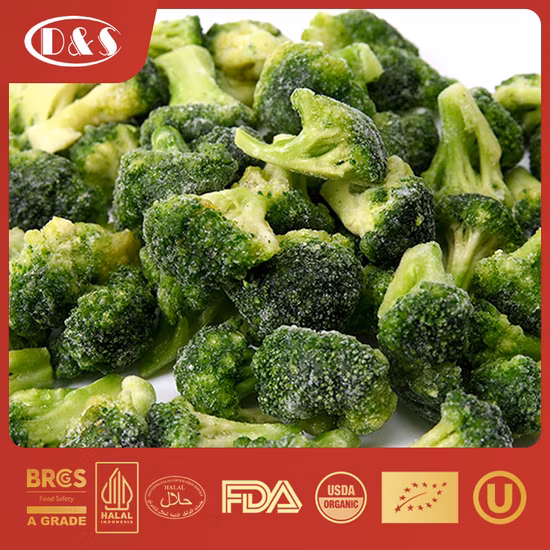Nueva cosecha de verduras frescas congeladas Brócoli congelado