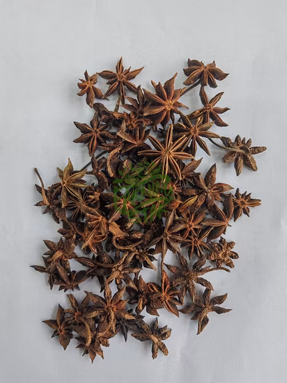 Nueva cosecha de anís estrellado de China