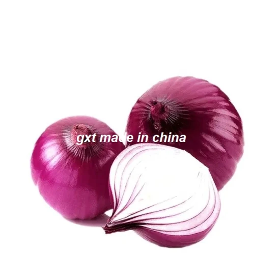 Cebolla roja fresca del proveedor de China