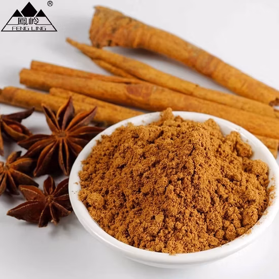 400 g de auténtico polvo chino de cinco especias utilizado en la cocina china/vietnamita