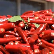 Proveedor de especias de China