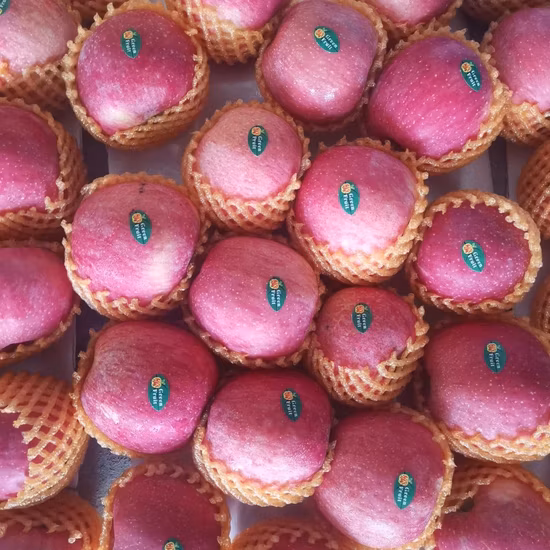 2022 Nueva cosecha de dátiles azufaifo dulce y fresco