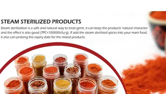 Hot Spices Distribuidor de pimentón anís estrellado seco entero en China